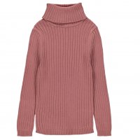 GX529: Girls Ribbed Roll Neck Jumper (5-14 Years)